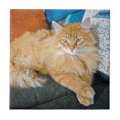 blauw tegeltje (Voorkant)