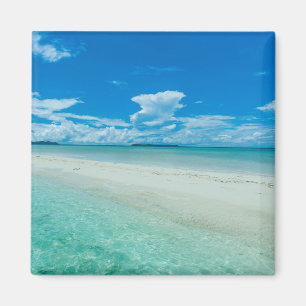 Blauw tropisch zeegezicht, Palau Magneet