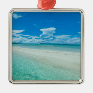 Blauw tropisch zeegezicht, Palau Metalen Ornament