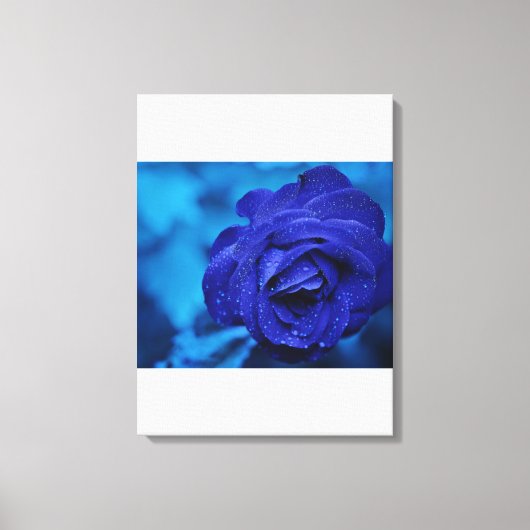 Blauw uitgerekt canvas Print (Voorkant)