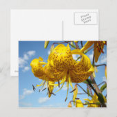 Blauw van de Bloemen van de Lelie van de Tijger Briefkaart (Voorkant / Achterkant)