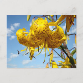 Blauw van de Bloemen van de Lelie van de Tijger Briefkaart