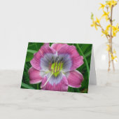 Blauw van Dixie van Daylily de ' Kaart (Gele Bloem)