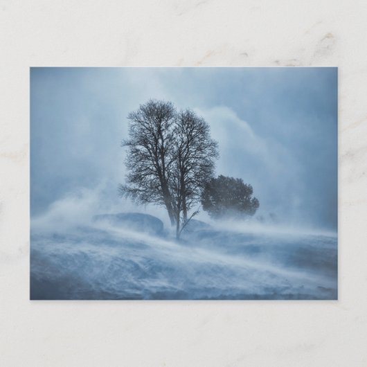 Blauw van storm blauw briefkaart (Voorkant)