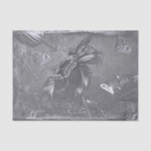 Blauw van vlinderzonnebloem Wit  Negatief