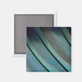 Blauw veerpatroon magneet (Voorkant / Achterkant)