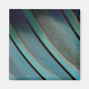Blauw veerpatroon magneet