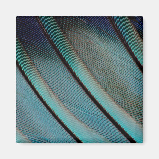 Blauw veerpatroon magneet (Voorkant)