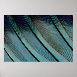 Blauw veerpatroon poster