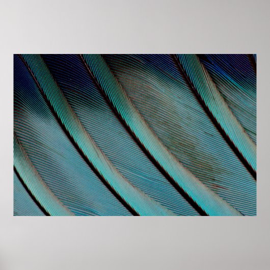 Blauw veerpatroon poster (Voorkant)