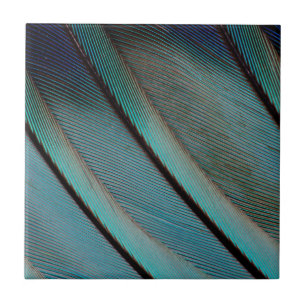 Blauw veerpatroon tegeltje