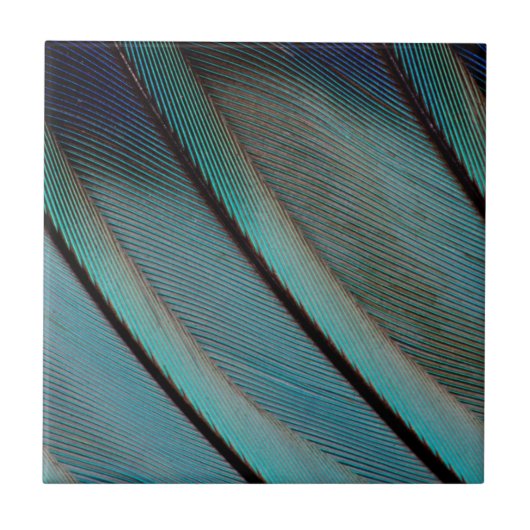 Blauw veerpatroon tegeltje (Voorkant)