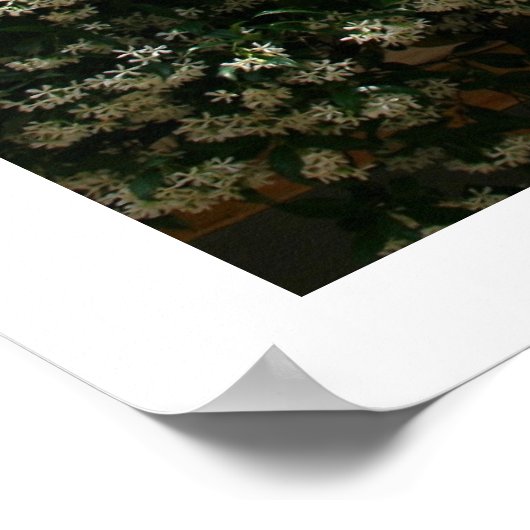 Blauw venster poster (Hoek)