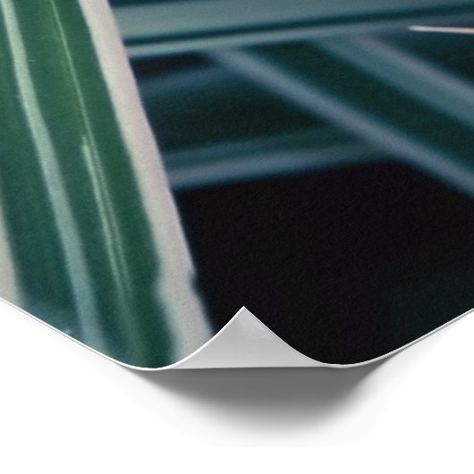 Blauw vergeet-me-niet Bloemen in Grass Poster (Hoek)