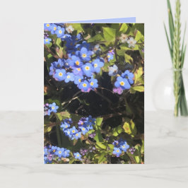 Blauw vergeet-me-niet bloemen kaart