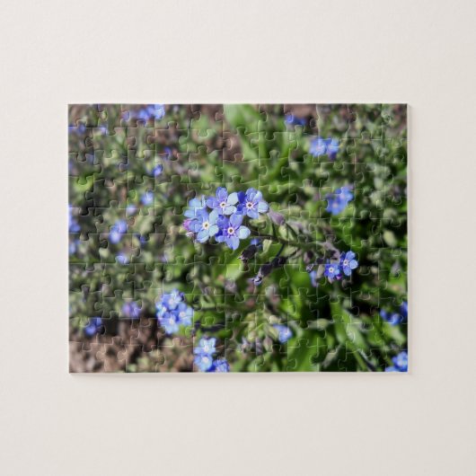 Blauw Vergeet mij niet puzzel (Horizontaal)