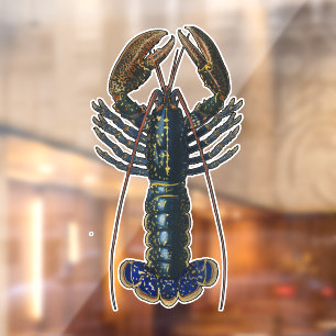 Blauw vintage kreeftkaartcollage: Nautilus kust- Raamsticker