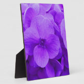 Blauw Violette Hortensia Fotoplaat (Zijkant)