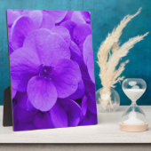 Blauw Violette Hortensia Fotoplaat (Zijkant)