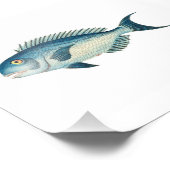 Blauw visstrand Nautical Zee Bathroom Foto Afdruk (Hoek)