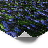 Blauw vliegpad poster (Hoek)