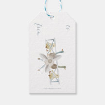 Blauw vliegtuig cadeaukaartje