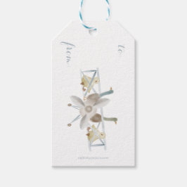 Blauw vliegtuig cadeaukaartje cadeaulabel