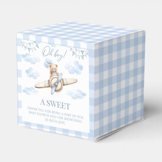 Blauw vliegtuig met Teddy Bear Baby Boy Shower Bedankdoosjes (Achterkant)