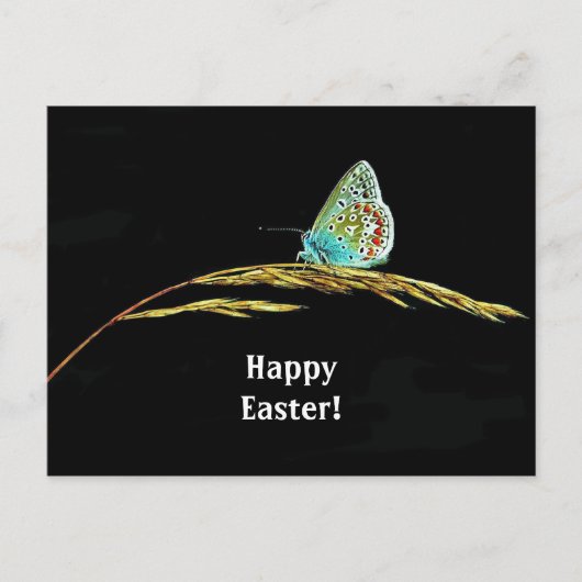  blauw vlinder gras Foto Pasen Briefkaart (Voorkant)