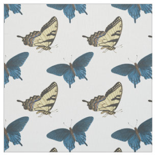 blauw vlinderbloemig nieuw weefsel stof