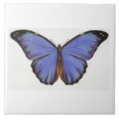blauw-vlindertegel tegeltje (Voorkant)