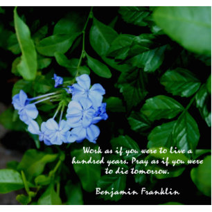 BLAUW VLOED FOTO SCHULPT MAGNET 2x3 Fotobeeldje Magneet