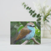 Blauw vogelBriefkaart Briefkaart (Staand voorkant)