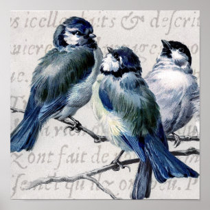  blauw vogelcollage - Gepersonaliseerd blauwvogels Poster