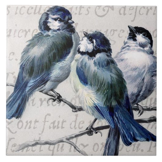  blauw vogelcollage - Gepersonaliseerd blauwvogels Tegeltje (Voorkant)