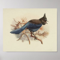 blauw vogelzwart afdrukken