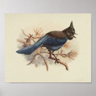  blauw vogelzwart afdrukken poster