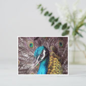 blauw vredesgezicht briefkaart (Staand voorkant)