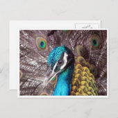 blauw vredesgezicht briefkaart (Voorkant / Achterkant)