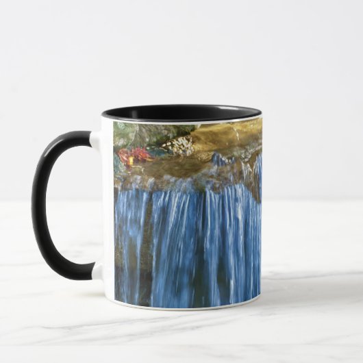 Blauw Water Bron Mok (Links)