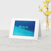 Blauw Wenskaart Batfish Kaart (Gele Bloem)