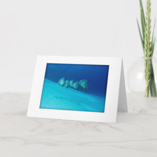 Blauw Wenskaart Batfish Kaart