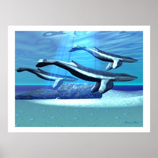 BLAUW WHALE SANTUARY PRINT (Voorkant)
