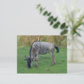 Blauw Wildebeest #1 Briefkaart (Staand voorkant)