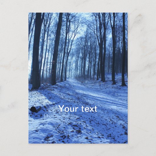 Blauw winterlandschap briefkaart (Voorkant)