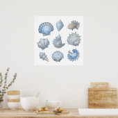 Blauw & Wit Aquarel Schelpen – Ocean Kinderkamer Poster (Keuken)
