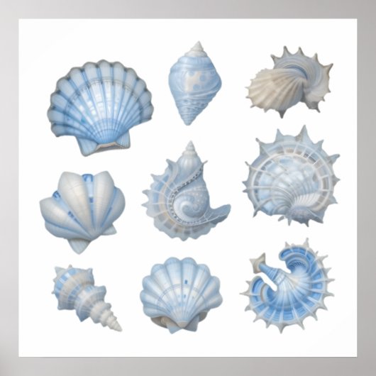Blauw & Wit Aquarel Schelpen – Ocean Kinderkamer Poster (Voorkant)