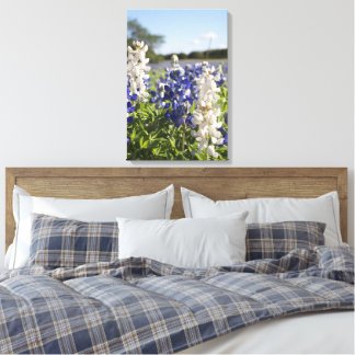 Blauw & Wit Bluebonnets Stretched Canvas Muurkunst Afdruk
