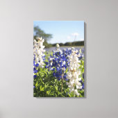 Blauw & Wit Bluebonnets Stretched Canvas Muurkunst Afdruk (Voorkant)