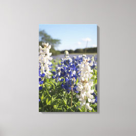 Blauw & Wit Bluebonnets Stretched Canvas Muurkunst Afdruk